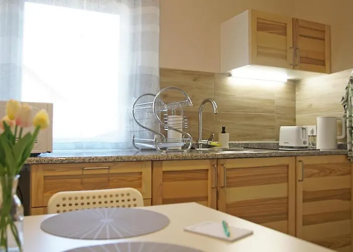 Apartament Fenyves *